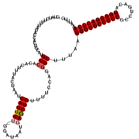 secondary structure
