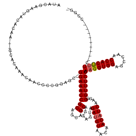 secondary structure