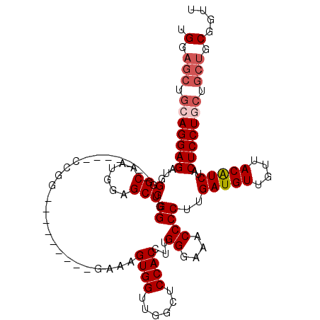 secondary structure