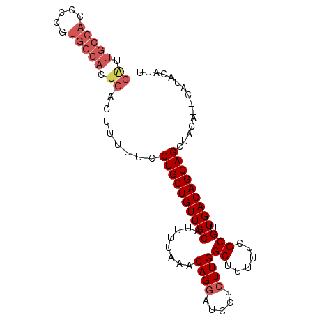secondary structure