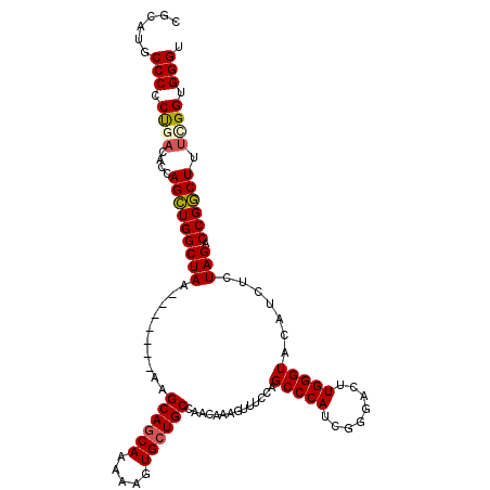 secondary structure