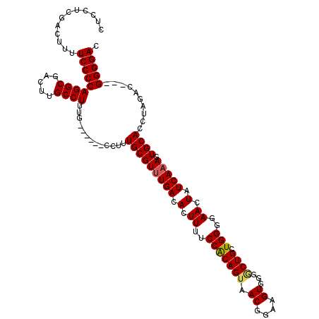 secondary structure
