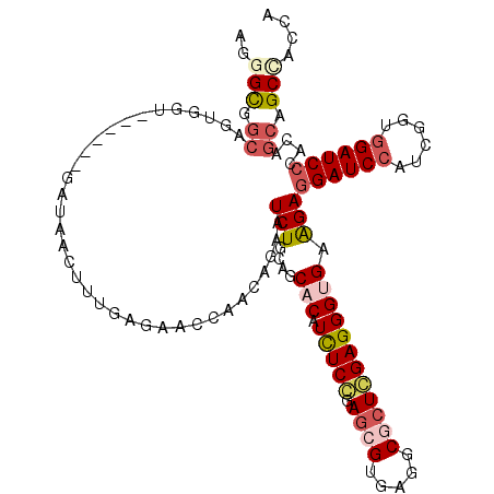 secondary structure