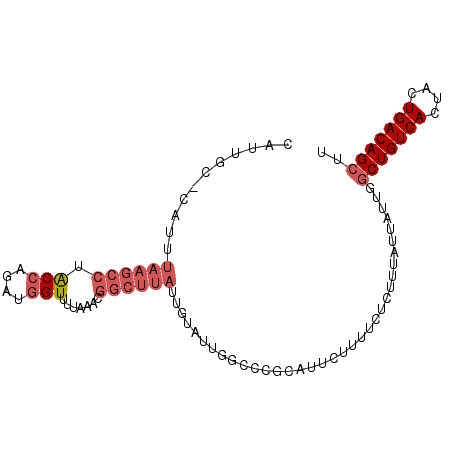 secondary structure
