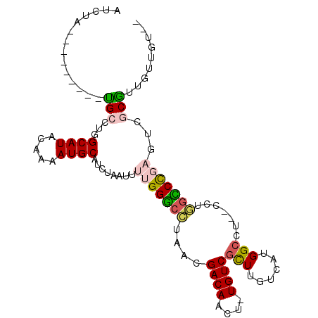secondary structure