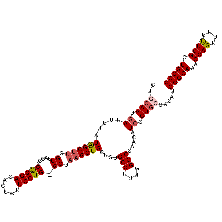 secondary structure