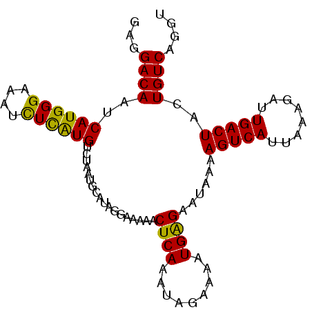 secondary structure