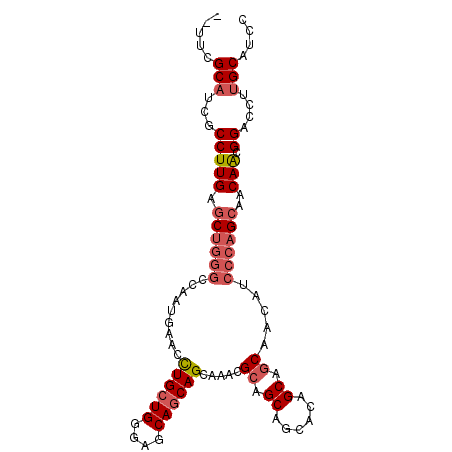 secondary structure