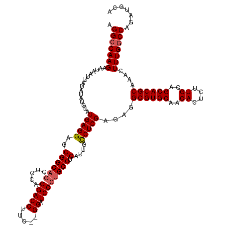 secondary structure