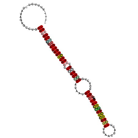 secondary structure