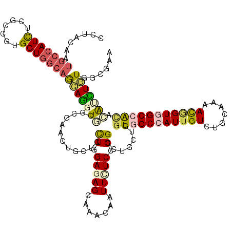 secondary structure