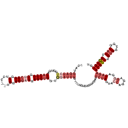 secondary structure