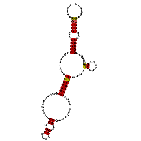 secondary structure