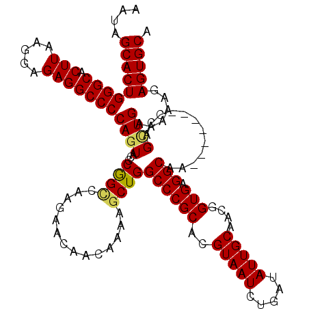secondary structure