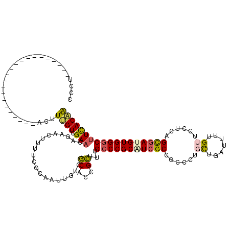 secondary structure