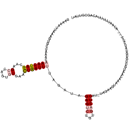 secondary structure