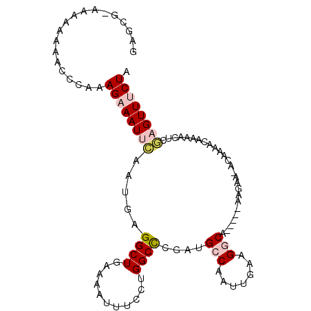 secondary structure