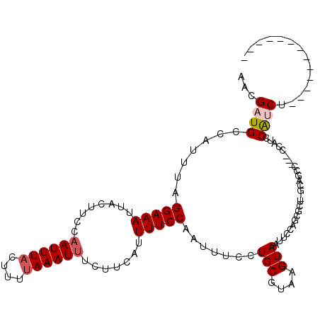 secondary structure