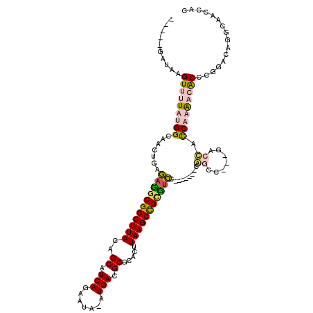 secondary structure