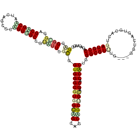 secondary structure