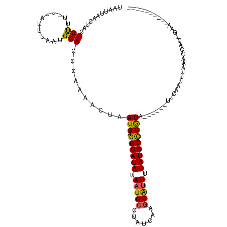 secondary structure
