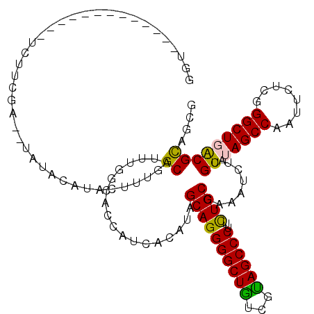 secondary structure