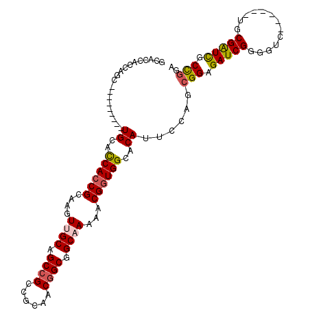 secondary structure