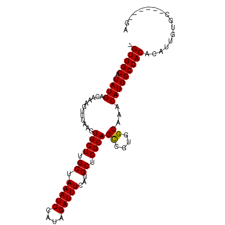 secondary structure