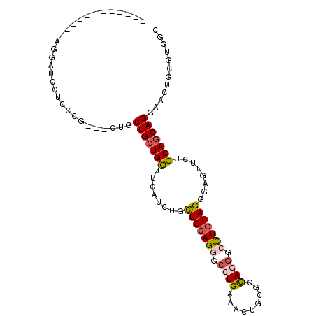 secondary structure
