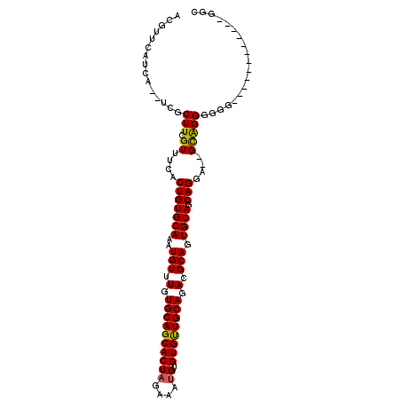 secondary structure