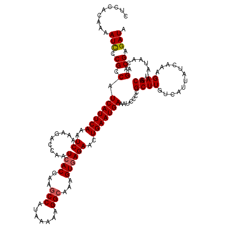 secondary structure