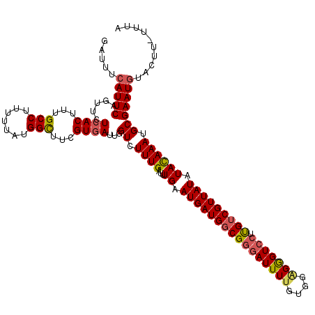 secondary structure