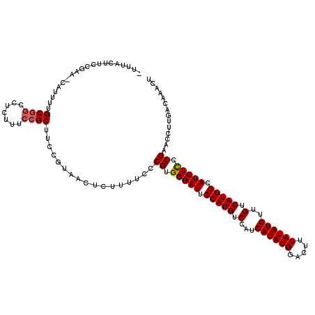 secondary structure