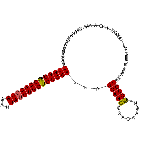 secondary structure
