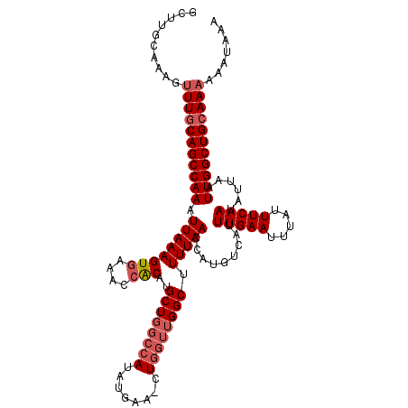 secondary structure