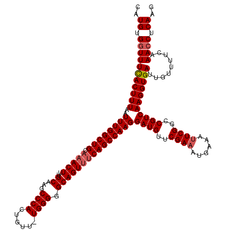 secondary structure