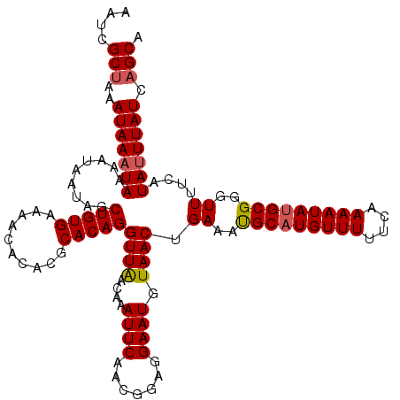 secondary structure