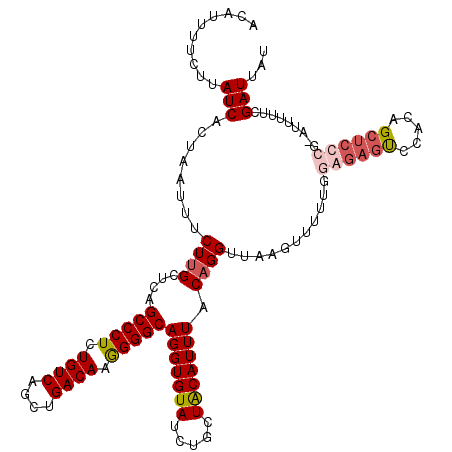 secondary structure
