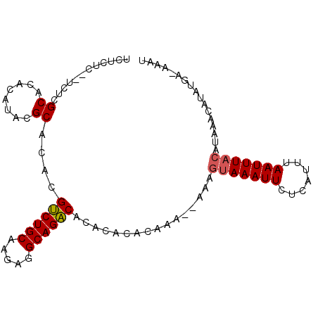 secondary structure