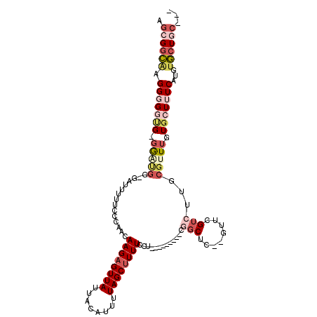 secondary structure