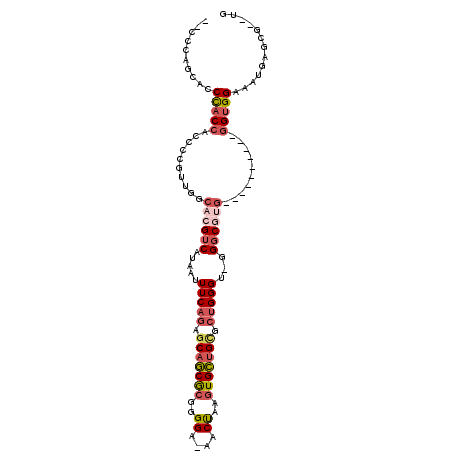 secondary structure