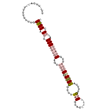 secondary structure