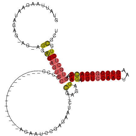 secondary structure