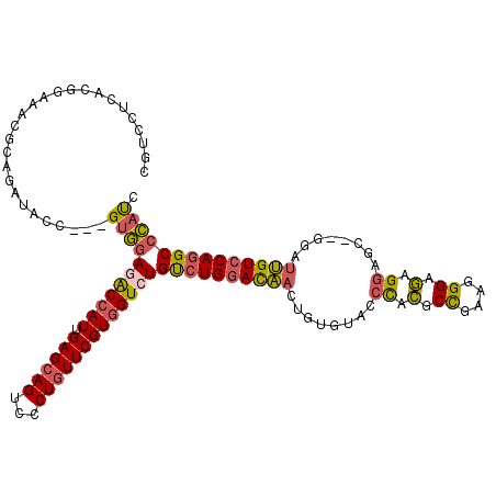 secondary structure
