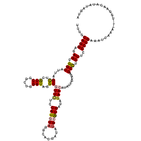 secondary structure