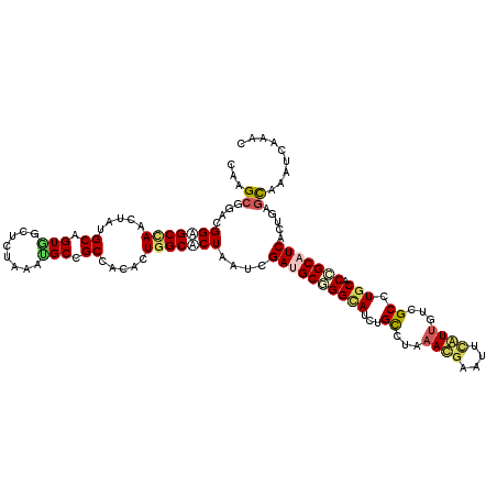 secondary structure