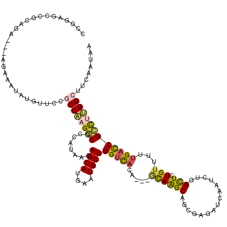 secondary structure