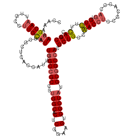 secondary structure