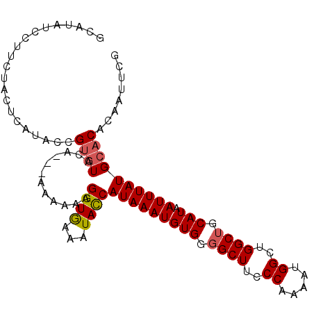 secondary structure