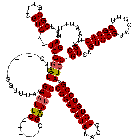 secondary structure